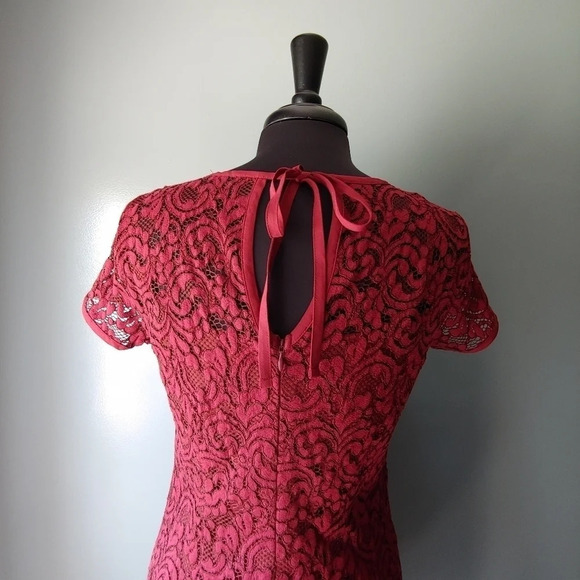 Loft Burgundy Lace Shift Dress - Picture 7 of 7